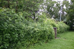 image004
