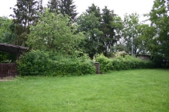 image005