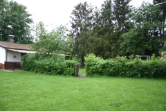 image006