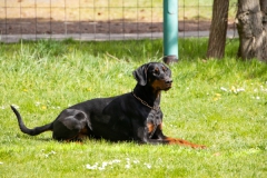 Frühjahrsprüfung 2022