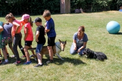 IMG_9641_b