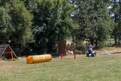 IMG_9664_b