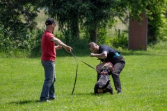 IMG_8936