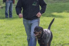Frühjahrsprüfung 2018
